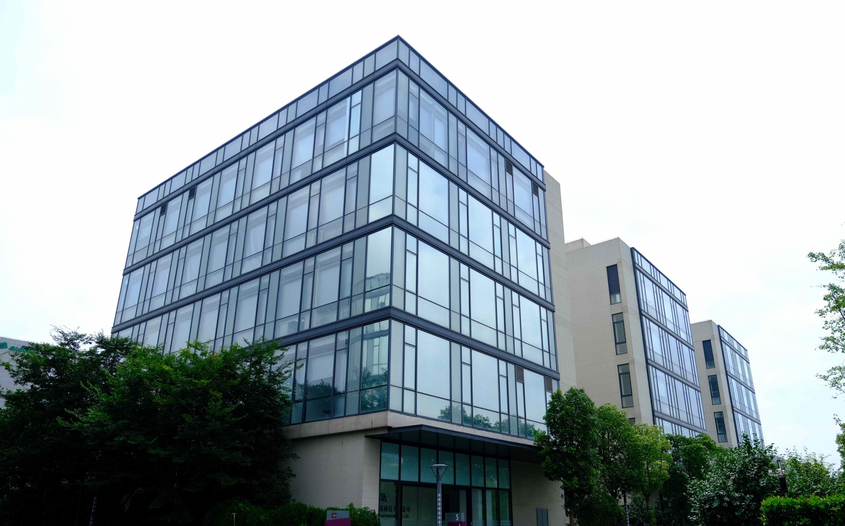 Company Profile